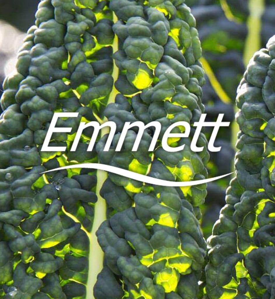 emmett